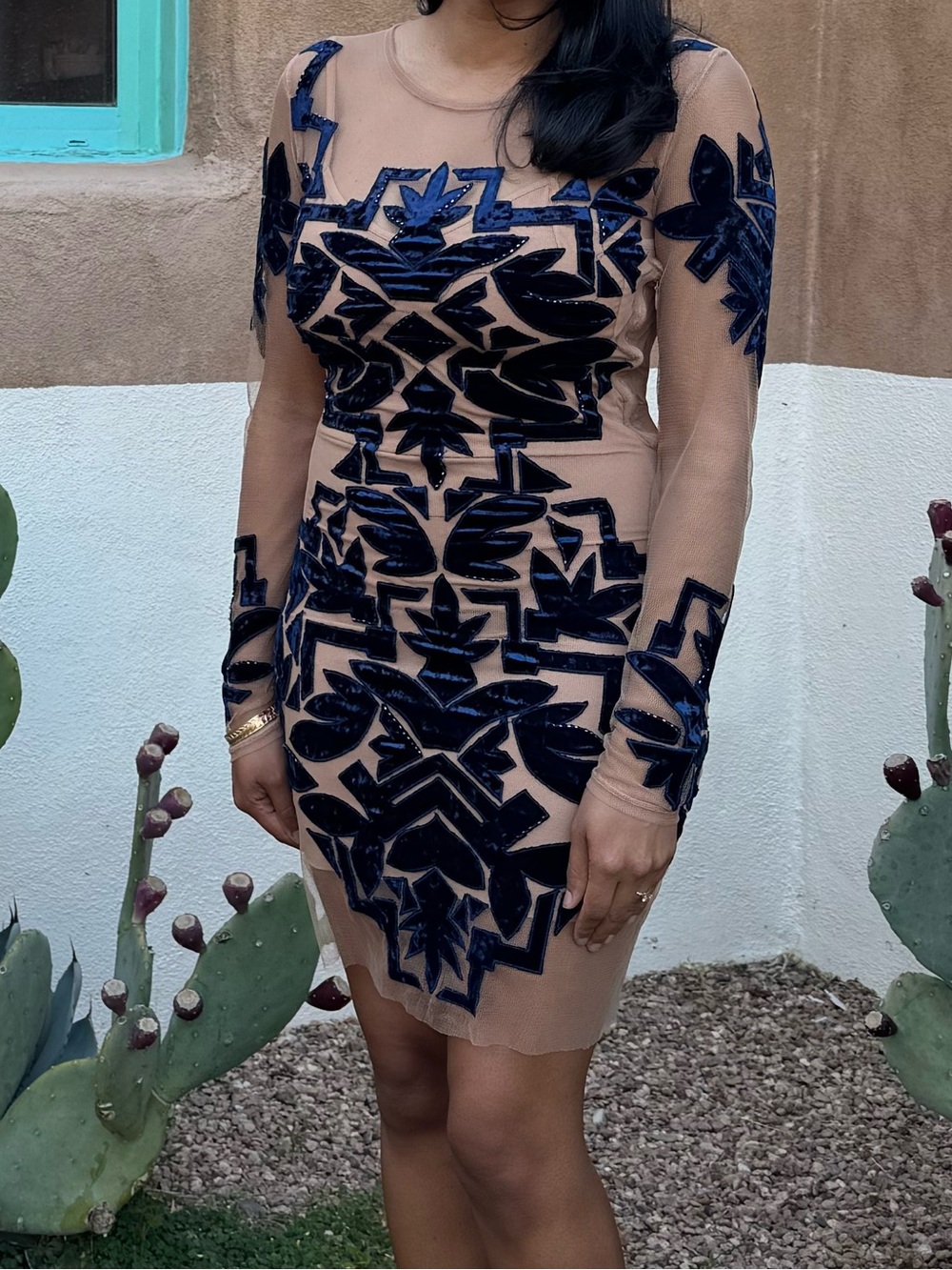 For Love and Lemons mesh dress